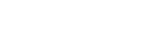 sentry