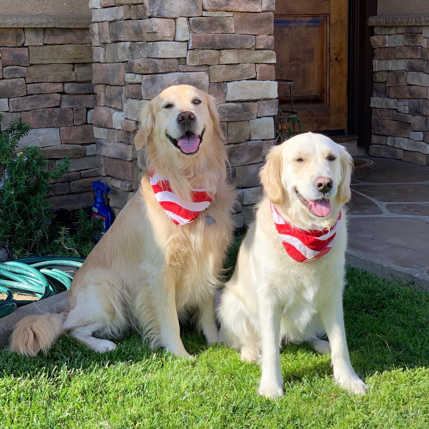 Click Through Reads #11: Custom Audience Shopping and Free Google Search Retail Listings